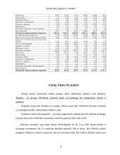 Namų ūkių pajamos ir išlaidos 8 puslapis