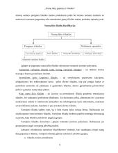 Namų ūkių pajamos ir išlaidos 9 puslapis