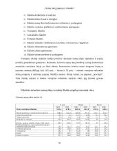 Namų ūkių pajamos ir išlaidos 10 puslapis