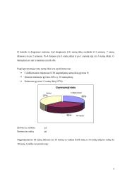 Namų ūkių charakteristika ir tyrimas 5 puslapis