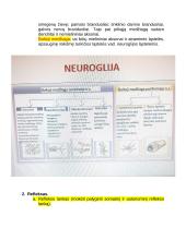 Centrinės nervų sistemos konspektas 2 puslapis
