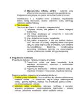 Centrinės nervų sistemos konspektas 11 puslapis