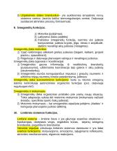 Centrinės nervų sistemos konspektas 12 puslapis