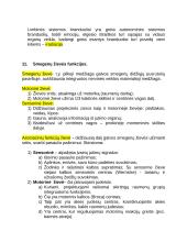 Centrinės nervų sistemos konspektas 13 puslapis