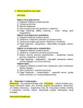 Centrinės nervų sistemos konspektas 16 puslapis