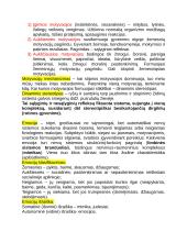 Centrinės nervų sistemos konspektas 17 puslapis