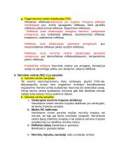 Centrinės nervų sistemos konspektas 5 puslapis