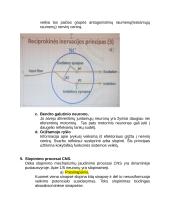 Centrinės nervų sistemos konspektas 7 puslapis