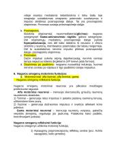 Centrinės nervų sistemos konspektas 9 puslapis