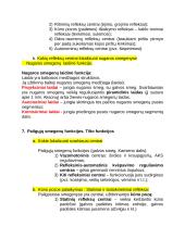 Centrinės nervų sistemos konspektas 10 puslapis