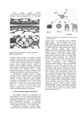 Nanotechnologijos elektronikoje 2 puslapis