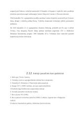 Antrasis pasaulinis karas Europoje (referatas) 19 puslapis