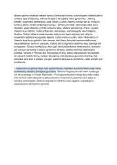 Kabėjimas. Tėvų ir vaikų santykiai literatūroje 2 puslapis