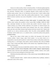 Civilinių sutarčių trumpa charakteristika bei praktinės situacijos 2 puslapis