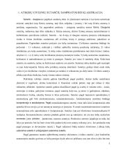 Civilinių sutarčių trumpa charakteristika bei praktinės situacijos 4 puslapis