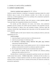 Civilinių sutarčių trumpa charakteristika bei praktinės situacijos 6 puslapis