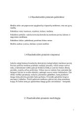 Raudonkraštės pintainės paplitimo tyrimas Kamšos botaniniame zoologiniame draustinyje 6 puslapis