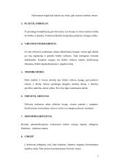 Viskas apie narkotikus 3 puslapis