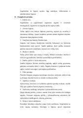 Viskas apie narkotikus 7 puslapis