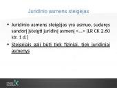 Verslo teisė (skaidrės) 13 puslapis