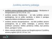 Verslo teisė (skaidrės) 18 puslapis