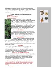 Organinės ir neorganinės kilmės narkotikai 12 puslapis