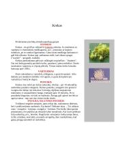 Organinės ir neorganinės kilmės narkotikai 17 puslapis