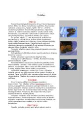 Organinės ir neorganinės kilmės narkotikai 8 puslapis