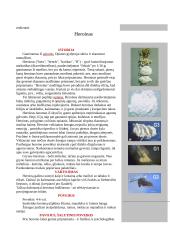 Organinės ir neorganinės kilmės narkotikai 9 puslapis