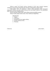 Ieškinio dėl skolos priteisimo pavyzdys 2 puslapis