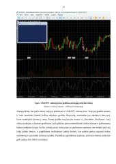 Valiutų rinkų prekybos analizė 10 puslapis