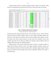 Valiutų rinkų prekybos analizė 12 puslapis