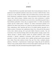 Valiutų rinkų prekybos analizė 2 puslapis