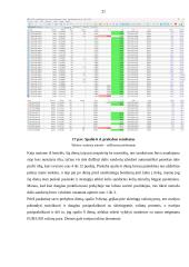 Valiutų rinkų prekybos analizė 20 puslapis