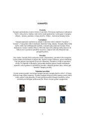 Narkotikai, narkomanai ir narkotikų rūšys 5 puslapis