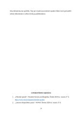 Ofsetinė spauda ir jos klastojimo būdai 13 puslapis