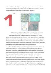 Ofsetinė spauda ir jos klastojimo būdai 6 puslapis