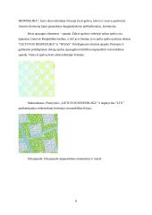 Ofsetinė spauda ir jos klastojimo būdai 7 puslapis