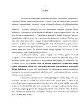 Narkotikai ir gatvės vaikai 2 puslapis