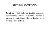 Terminija 2 puslapis