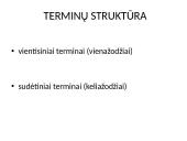 Terminija 3 puslapis