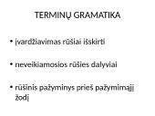 Terminija 6 puslapis