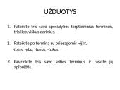 Terminija 8 puslapis