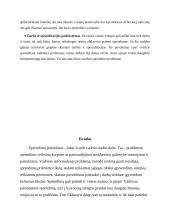 Valdymo sprendimų priėmimas (referatas) 8 puslapis