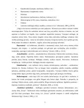 Narkotikai. Narkotikų vartojimas 5 puslapis