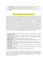 Kiaušinių veterinarinė sanitarinė ekspertizė 12 puslapis