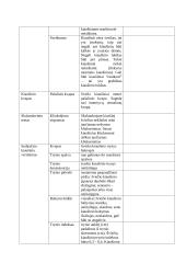 Kiaušinių veterinarinė sanitarinė ekspertizė 3 puslapis