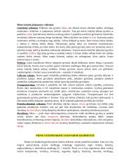 Kiaušinių veterinarinė sanitarinė ekspertizė 5 puslapis