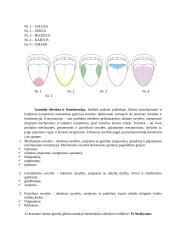 Kiaušinių veterinarinė sanitarinė ekspertizė 10 puslapis