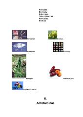 Narkotikai. Rizikos veiksniai 6 puslapis